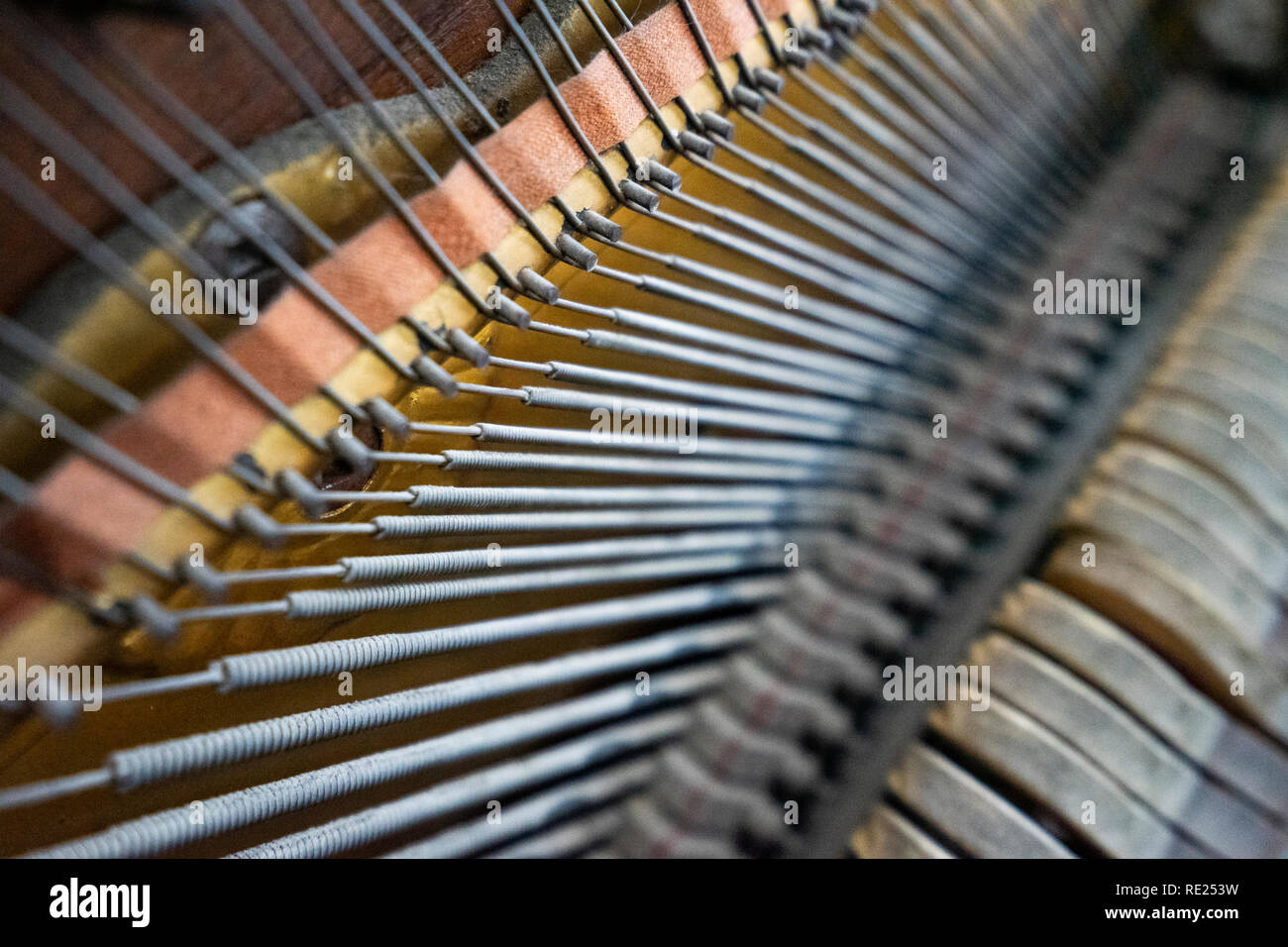 Instruments à cordes hi-res stock photography and images - Alamy