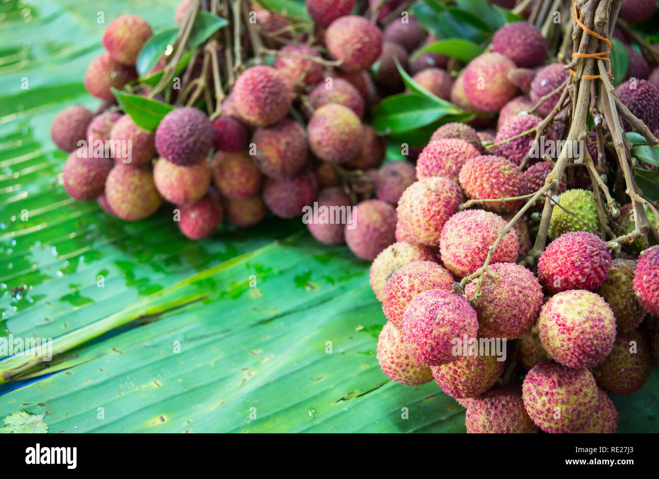 Ripe lychee hi-res stock photography and images - Alamy