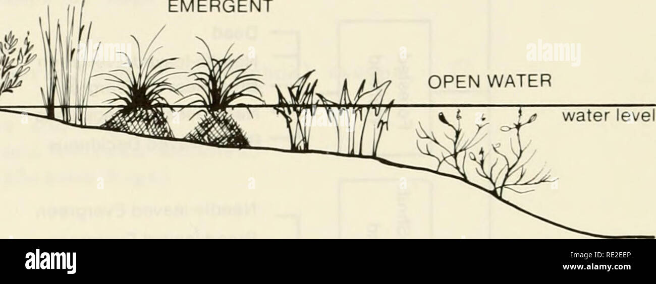. An ecological characterization of Coastal Maine (north and east of
