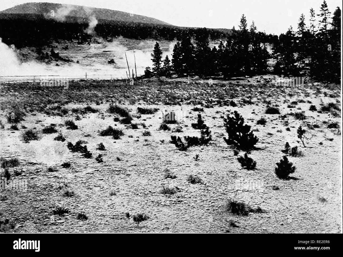 . Plant succession; an analysis of the development of vegetation. Plant ecology. A. Ecesis in a primary area, summit of Pike's Peak, Colorado.. B. Ecesis in a secondary area denuded by hot water, Norris Geyser Basin, Yellowstone Park.. Please note that these images are extracted from scanned page images that may have been digitally enhanced for readability - coloration and appearance of these illustrations may not perfectly resemble the original work.. Clements, Frederic E. (Frederic Edward), 1874-1945. Washington, Carnegie Institution of Washington Stock Photo