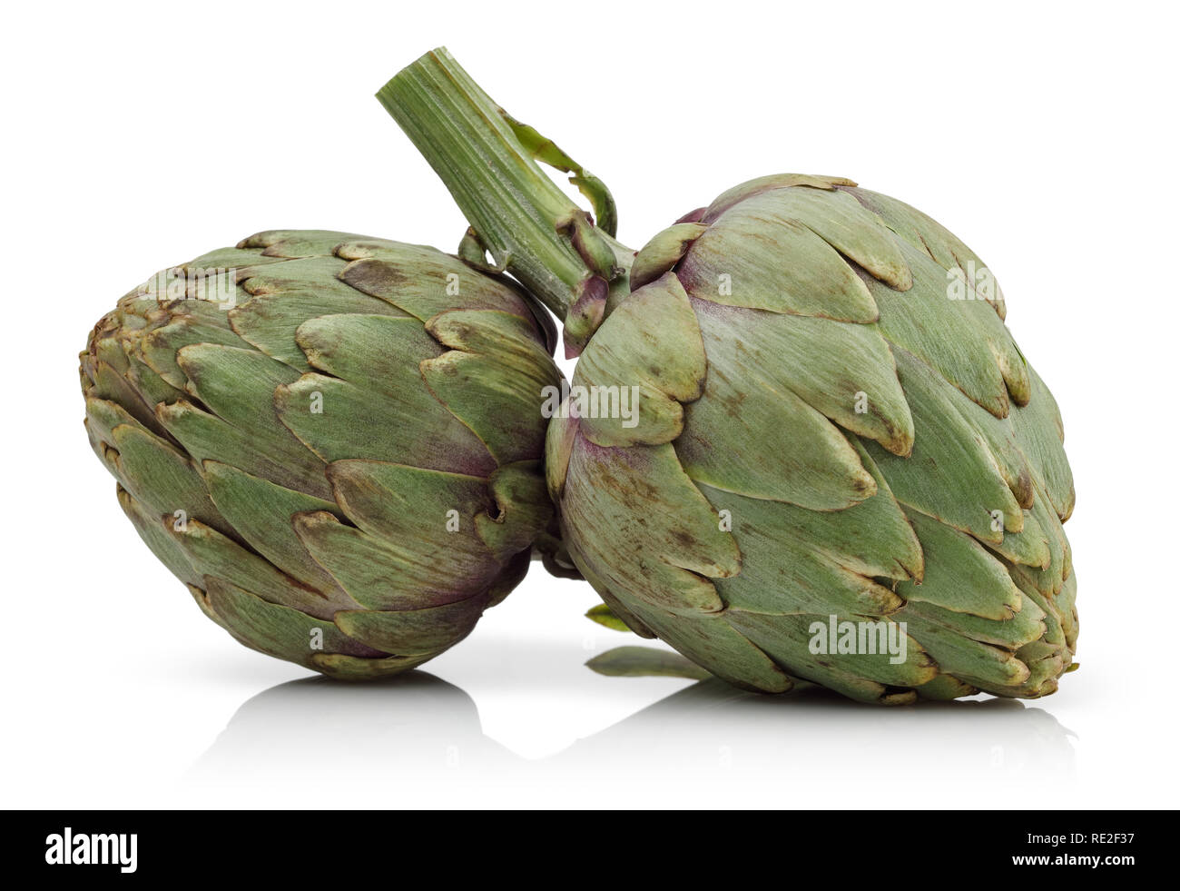Fresh artichokes isolated on white background Stock Photo