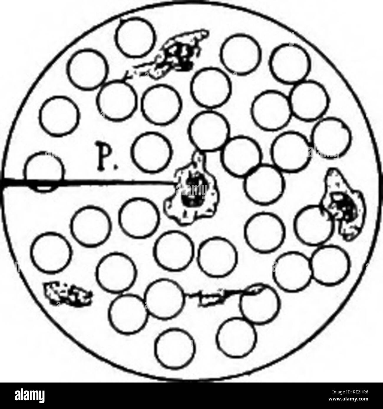 Servicable Black and White Stock Photos & Images Alamy