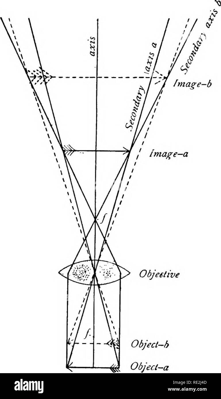 . The microscope; an introduction to microscopic methods and to histology. Microscopes. 138 MAGNIFICATION OF THE MICROSCOPE [Ch. V Put the 8x or lox ocular in place of the 4x or 5X, and then put the camera lucida in position. Measure the size of the image with di- viders and a rule as be- fore. The power will be considerably greater than when the low ocular was used. This is because the virtual image (fig. 78) seen with the high ocular is larger than the one seen with the low one. Lengthen the tube of the micr6scope 50-60 mm. by puUing out the draw- tube. Remove the camera lucida and focus; th Stock Photo