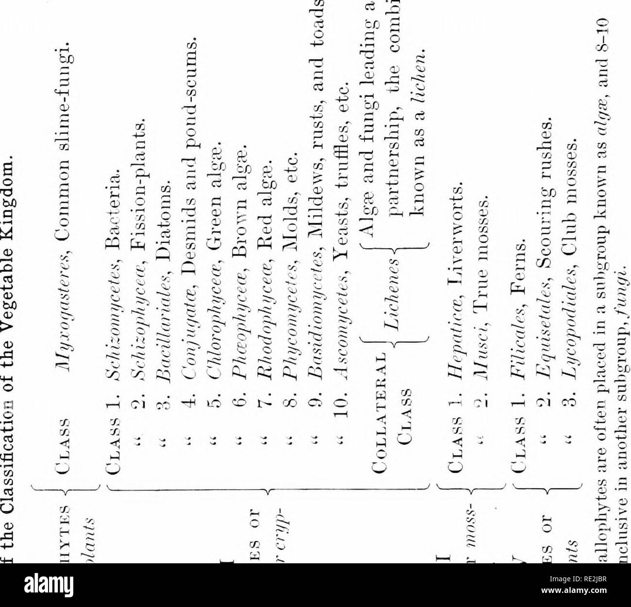 Elements Of Botany Botany 210 Elements Of Botany 2 I O Quot 5 P O O A I I Quot A A O A 1 1 H C 11