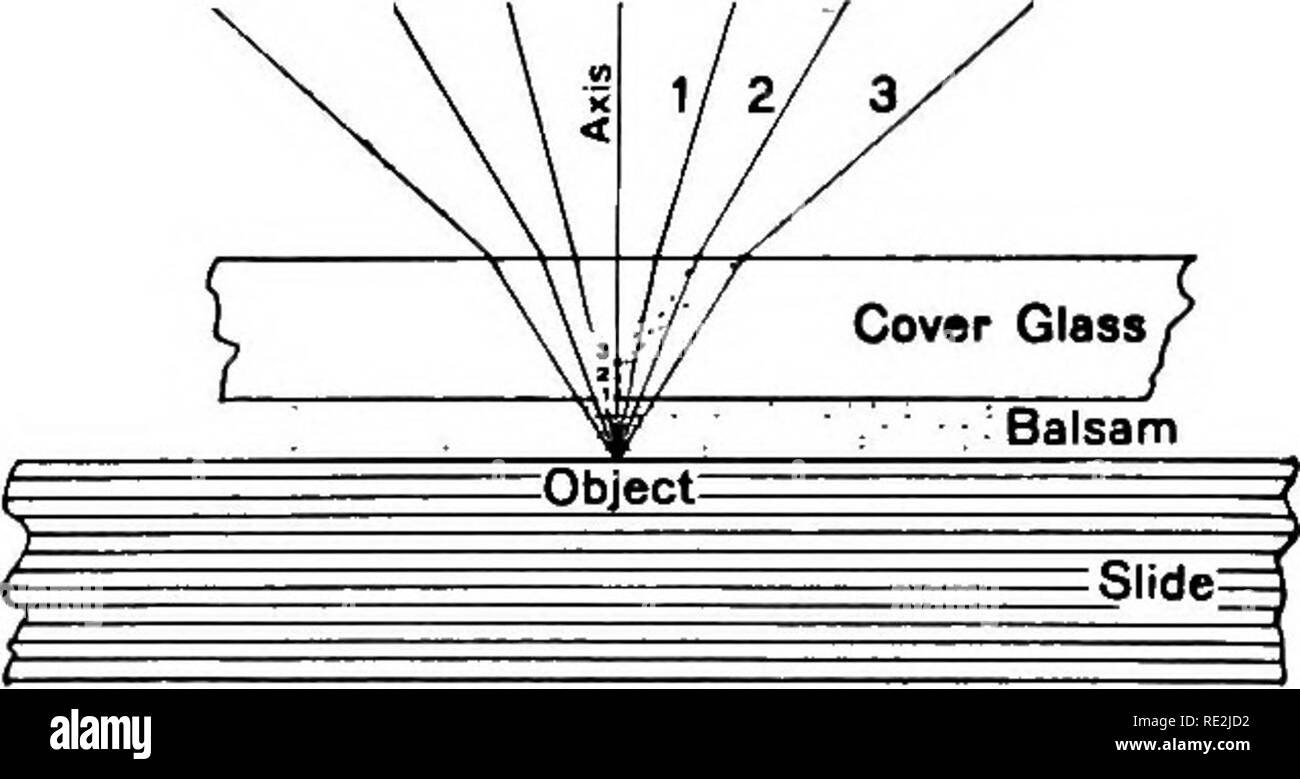 . The microscope; an introduction to microscopic methods and to