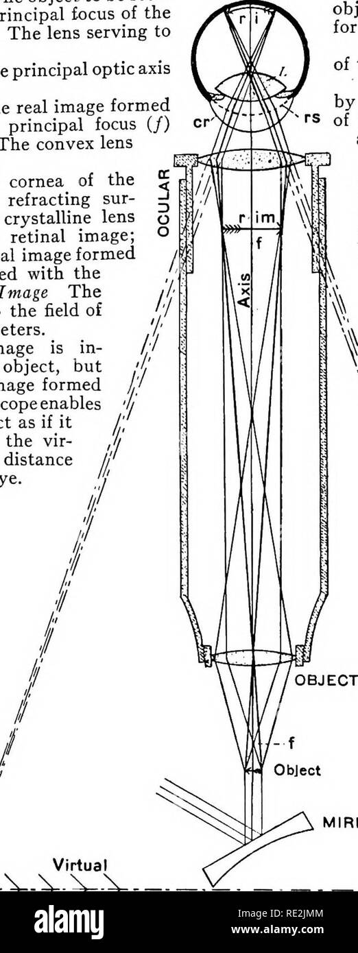 Convex and concave mirror Black and White Stock Photos & Images Alamy
