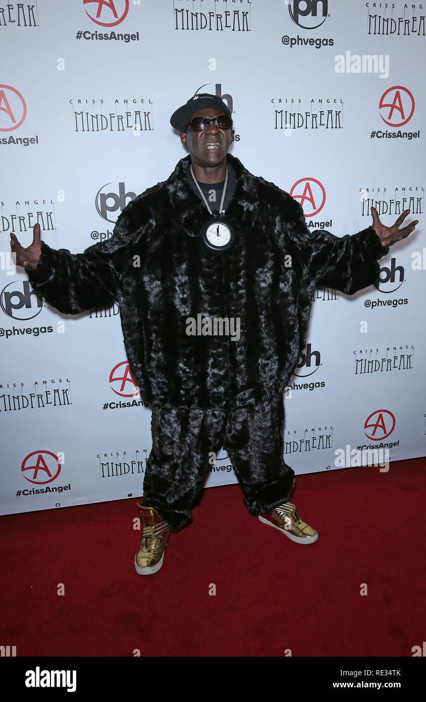 Las Vegas, NV, USA. 19th Jan, 2019. 19 January 2019 Las Vegas, NV