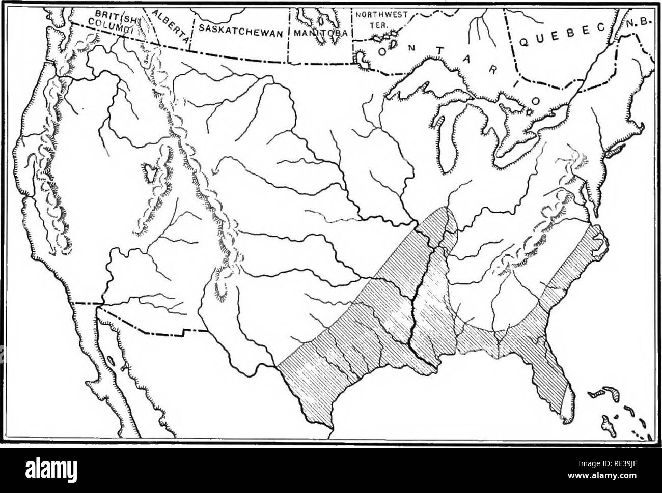 . Practical botany. Botany. Fig. 374. Map of distribution of white pine Modified after R. B. Hough. &quot;&quot; Handbook of the Trees of the Northern States and Canada &quot;. Fig. 375. Map of distribution of bald cypress Modified after R. B. Hou£;h 504. Please note that these images are extracted from scanned page images that may have been digitally enhanced for readability - coloration and appearance of these illustrations may not perfectly resemble the original work.. Bergen, Joseph Y. (Joseph Young), 1851-1917; Caldwell, Otis William, 1869- joint author. Boston, New York [etc. ] Ginn and  Stock Photo