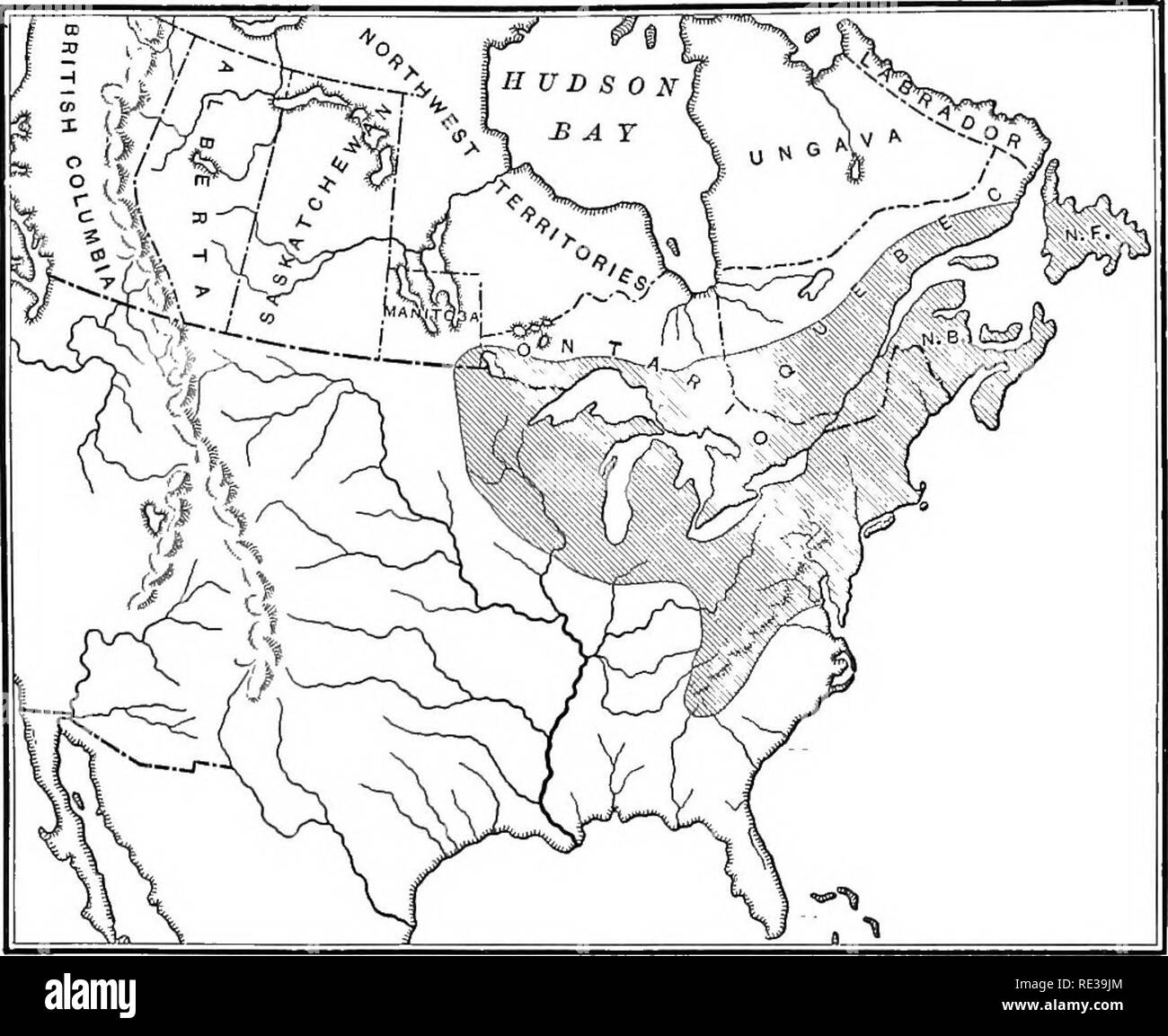 . Practical botany. Botany. Fig. 374. Map of distribution of white pine Modified after R. B. Hough. &quot;&quot; Handbook of the Trees of the Northern States and Canada &quot;. Please note that these images are extracted from scanned page images that may have been digitally enhanced for readability - coloration and appearance of these illustrations may not perfectly resemble the original work.. Bergen, Joseph Y. (Joseph Young), 1851-1917; Caldwell, Otis William, 1869- joint author. Boston, New York [etc. ] Ginn and company Stock Photo