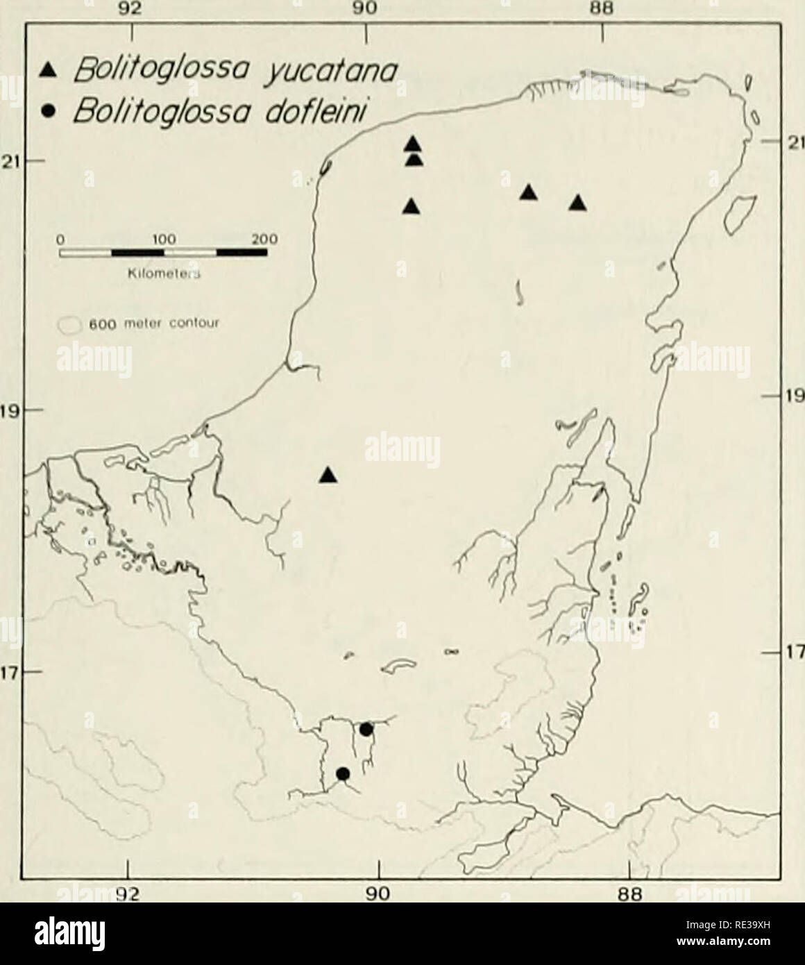 . An ecogeographic analysis of the herpetofauna of the Yucatan Peninsula. Amphibians; Amphibians; Reptiles; Reptiles. YUCATAN HERPETOFAUNA 49 A Bolitoglossa yucatana â¢ Bolitoglossa dofleini  . Bolitoglossa 1 rufescens 1 T ' Tzl- )  } /. - ^^ / P J - J^V Y / 7^ / ^^^ Â«?kÂ«s S / ^ ^' â â¢ ^ '&gt;'^ U â¢ c^ : â¢.â¢â¢ ^.^   1 1 Rhinophrynus dorsalis 1 --x*   /^ â¢ V Â° â¢*Â» '( /o j â¢  f y^ â¢ /   -f^^^^^'' ' ^ Ij ^zy**^Y ; j^'^WlSJtts 1 -( ' S * ^=W&quot; ;^ 1 â^ . Please note that these images are extracted from scanned page images that may have been digitally enhanced for readability - c Stock Photo
