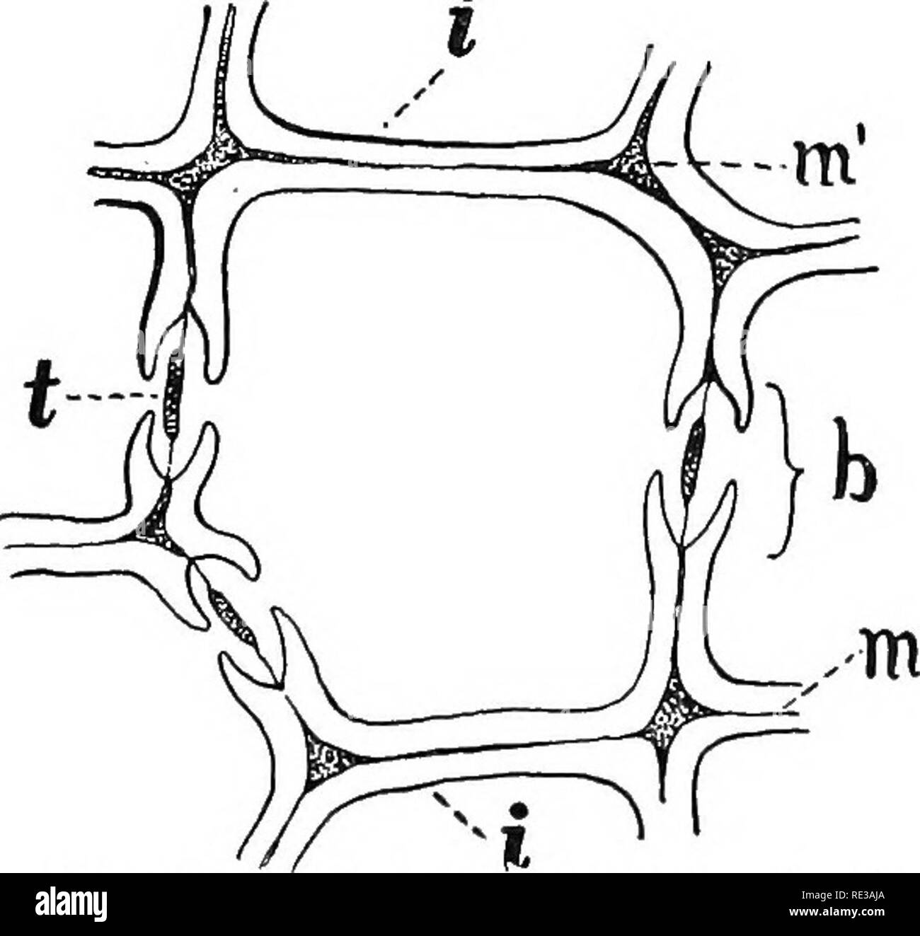 Sieve plates microscope Black and White Stock Photos & Images Alamy