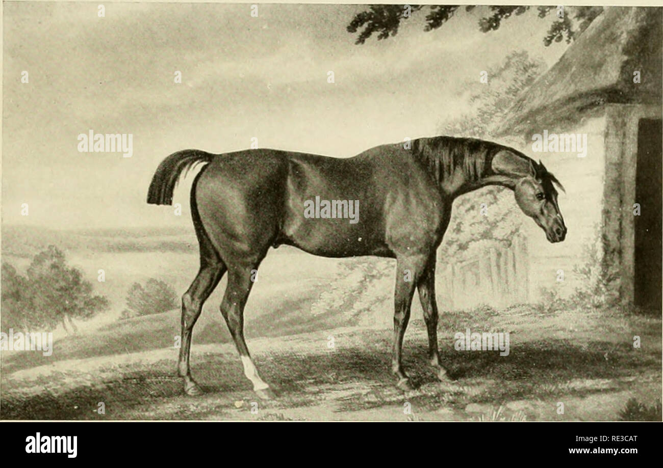 Mr tattersall hires stock photography and images Alamy