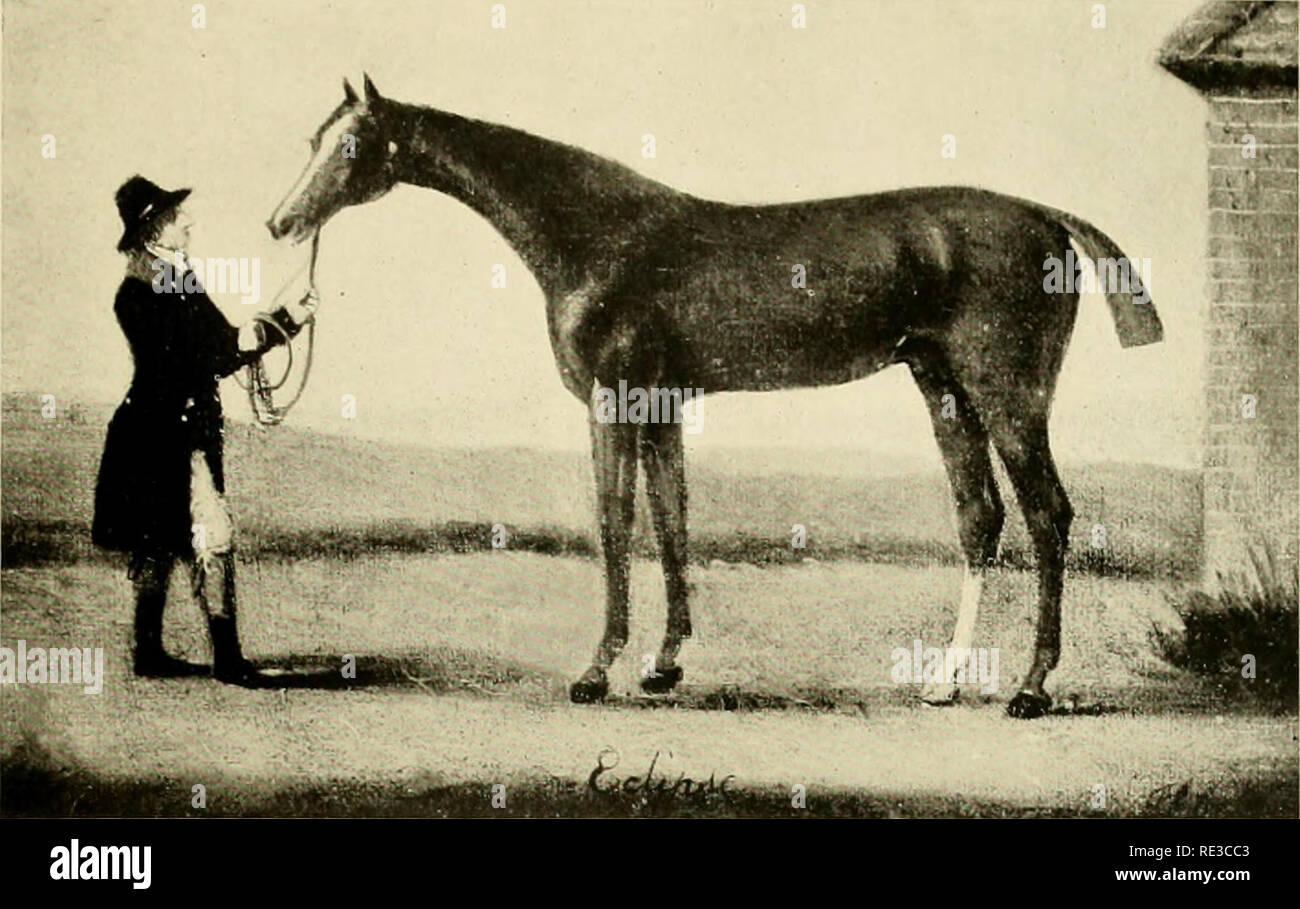 . Eclipse & OKelly being a complete history so far as is known of that celebrated English