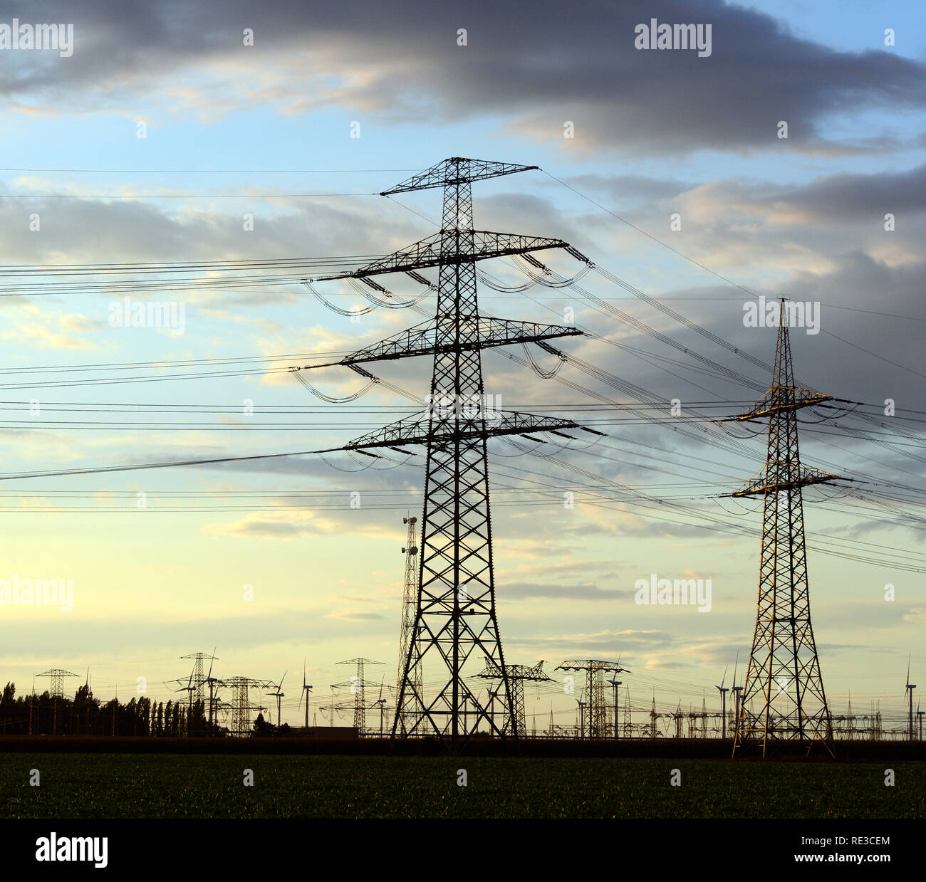 Power Pylons For Transporting Electricity Stock Photo Alamy