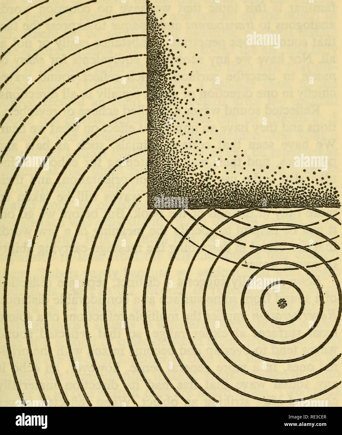 Echolocation sound waves hi-res stock photography and images - Alamy