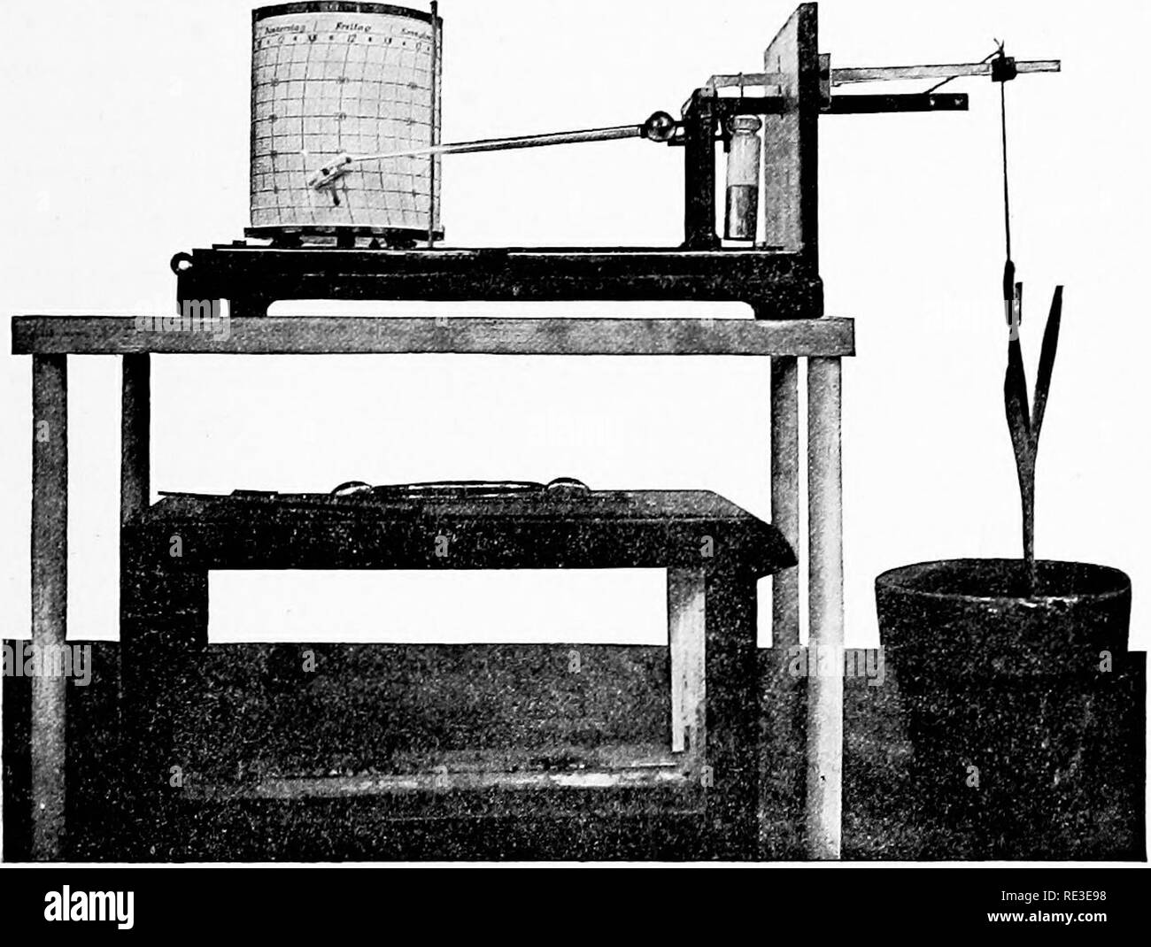 Plant measure height Black and White Stock Photos & Images Alamy