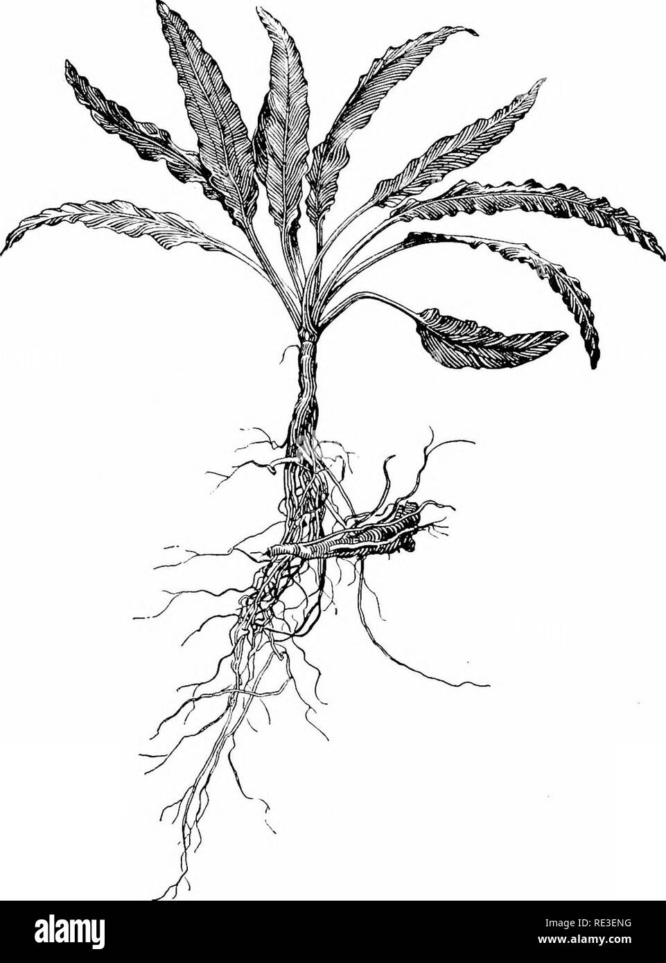 Best aquarium in europe Cut Out Stock Images & Pictures Alamy