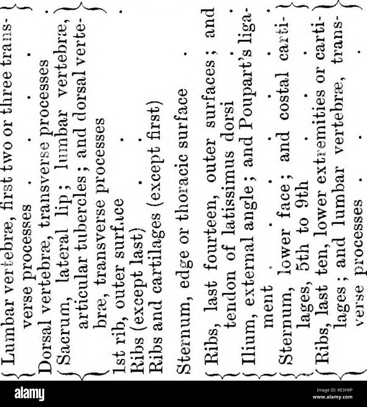 . The anatomy of the horse, a dissection guide. Horses. 348 THE ANATOMY OF THE HORSE. '&quot; S 01   d ^ &gt; s -r5 '^ ^, l-i -s q= &gt; o s o tf fi ^ s CD -a ^ -S iS ^ c K 3 * a&gt; o - |1^ sÂ° &amp;5 o .2 c SJS == 2 ri&quot; ^ ^co o r-- O .2 Â° o rS-H &gt; CJ ^ M Â£c^ ^-^ S 8 ,3 ^ ,si o ^ J^ c3 S^.S&quot;. -U M &quot;=. Lj ,^= CO tU 5 (K t, o &quot; 5 o D O O O 1- ! &quot; is !^ ?^ S cfi ,-^ -Â»= bfl S S g Â£ Â« M T3 S Â« -43 ^ .S 'I' a C3 m E3 S â â' c3 â&quot; -a Srr rt m 3-q^o O fi3 f3 CD *&quot; Pin'&quot;' a r^ O i l rt h^ a2pH03! 'iJ Pw P-i &lt;U M r-H OT 1âI J2 J5 ?,. S S ^ e = ,2 ;3 Stock Photo