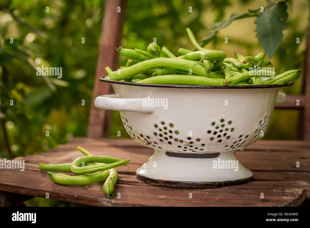 Healthy green beans in a colander in an old chair Stock Photo - Alamy