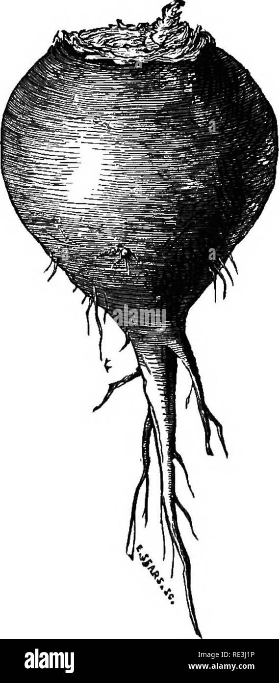 Forty To Sixty Cut Out Stock Images & Pictures Alamy