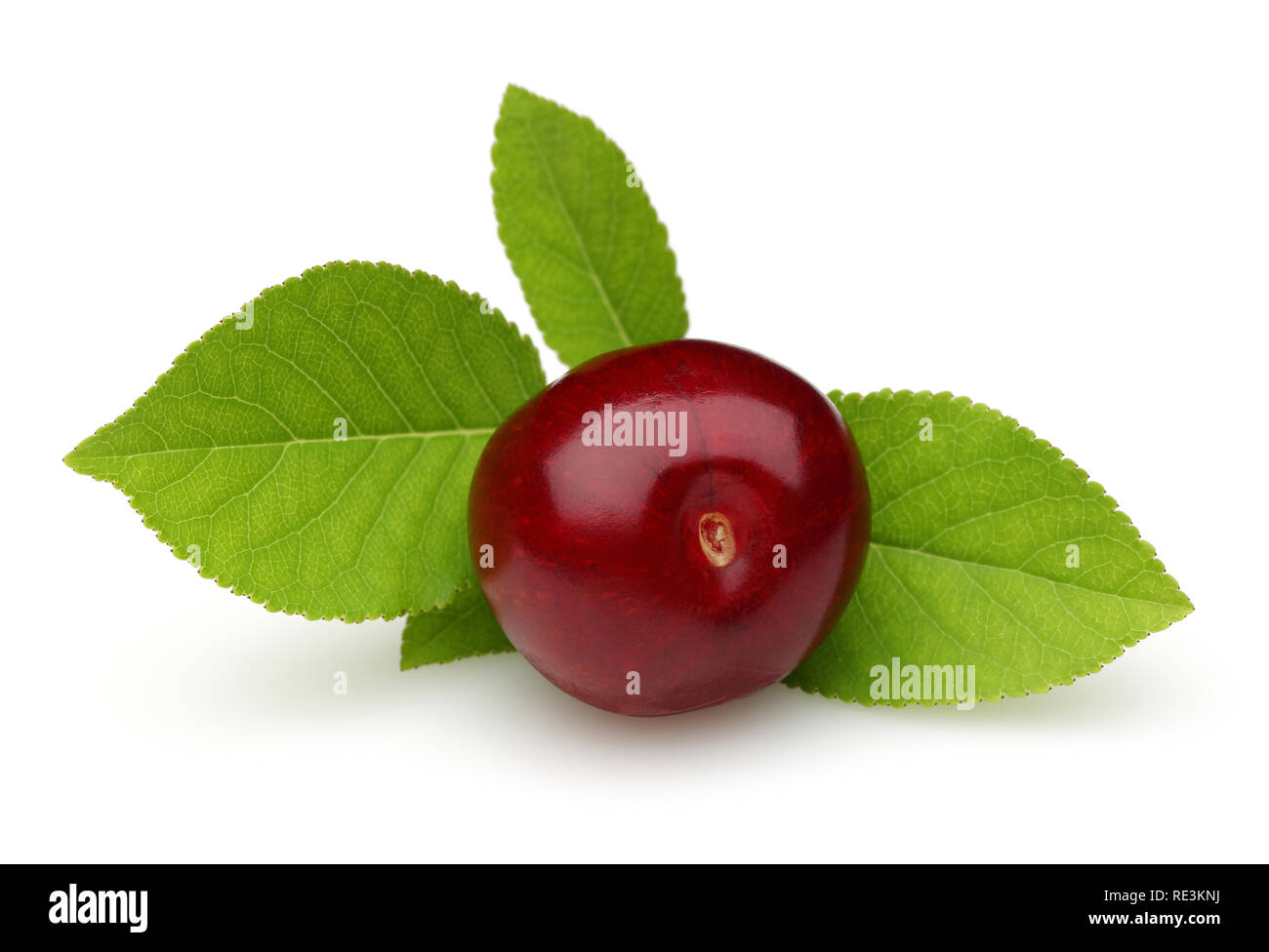 Ripe red cherry with leaves isolated on white background Stock Photo ...