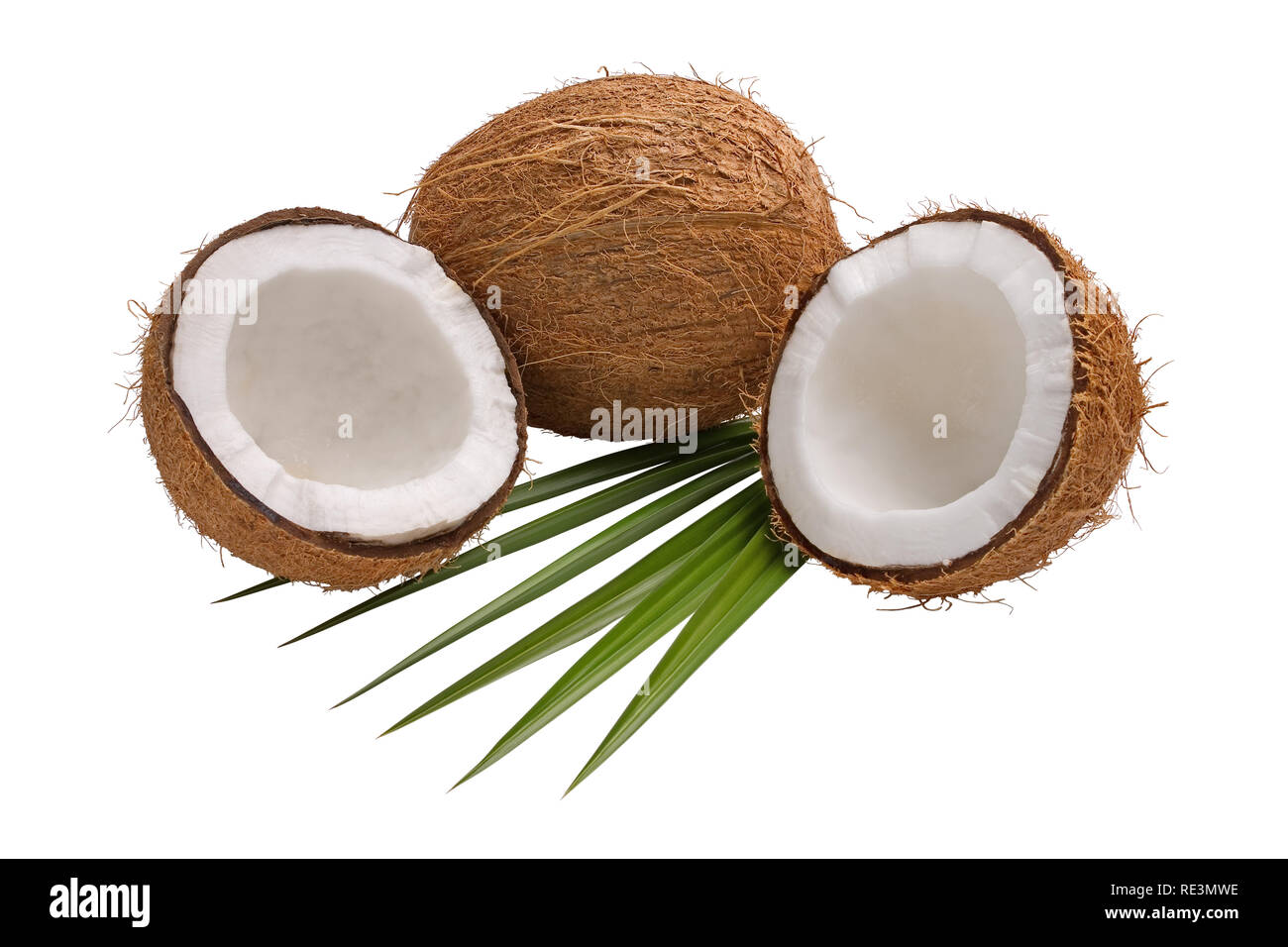 Fresh coconut broken in half with leaves isolated on white background Stock Photo