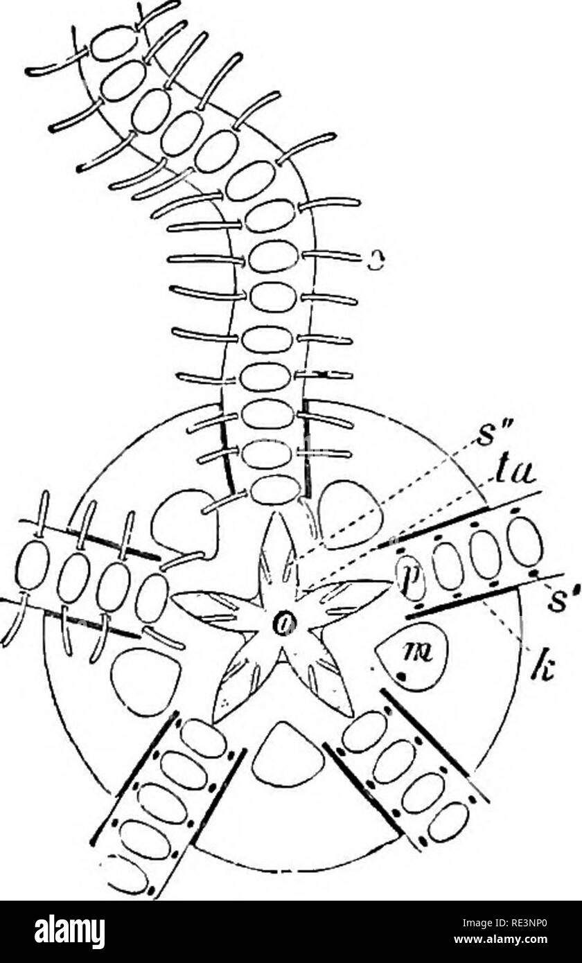 Get Oder mar tuhe For Android Oder Mar Tuhe