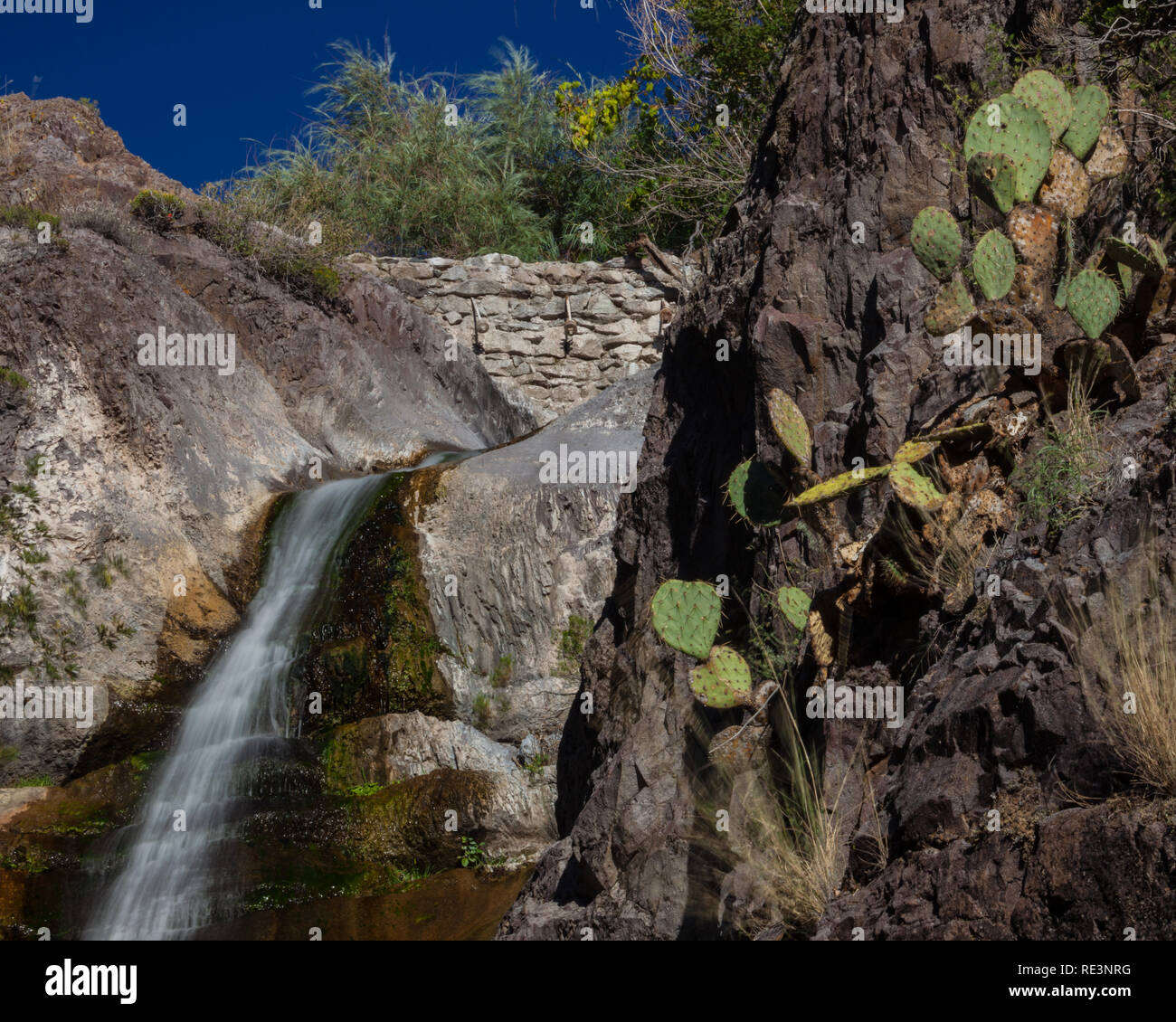 Cactus waterfall desert hires stock photography and images Alamy