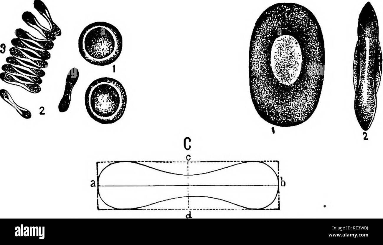 . The physiology of domestic animals ... Physiology, Comparative ...