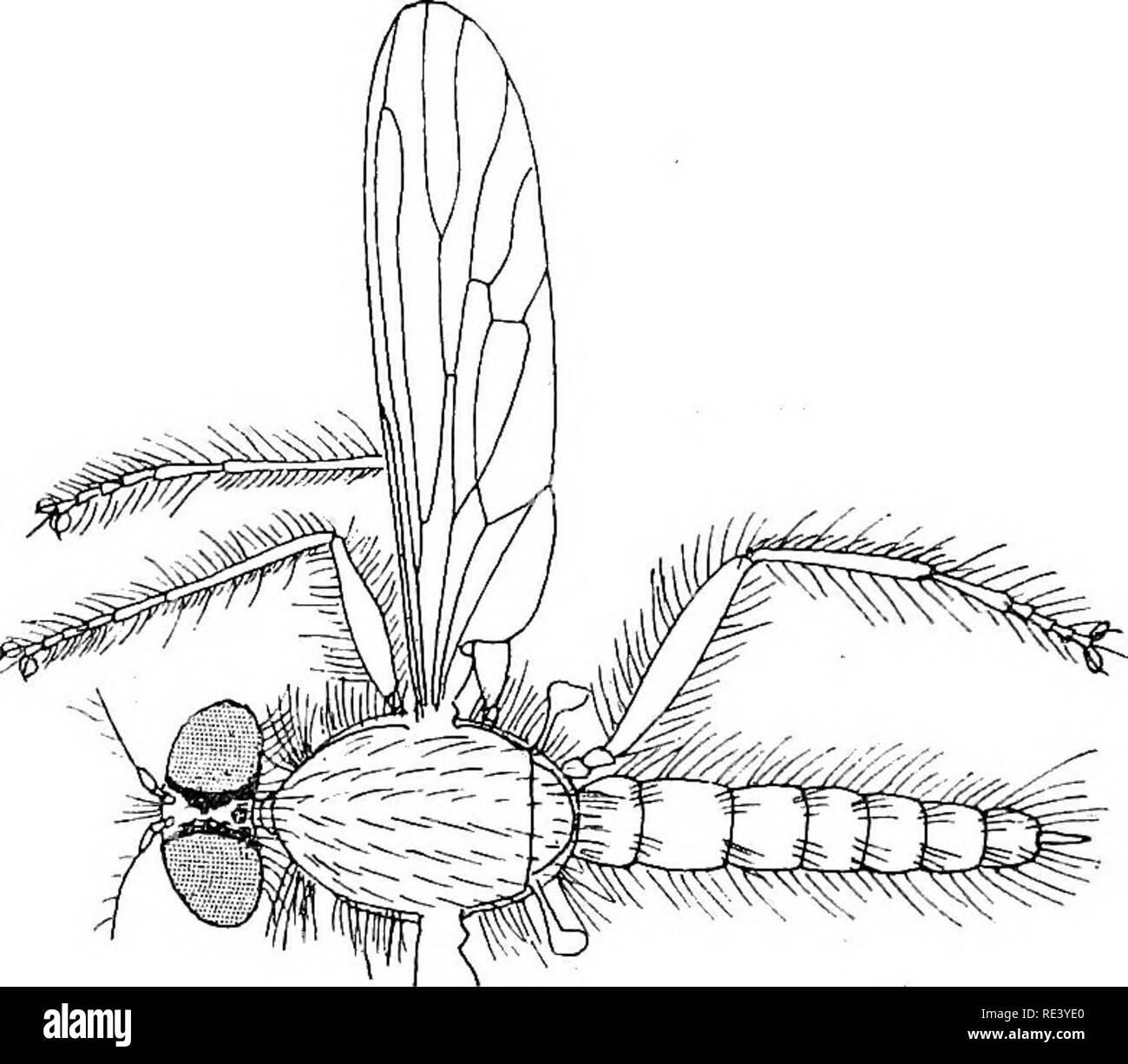 . Entomology for medical officers. Insect pests; Insects as carriers of ...