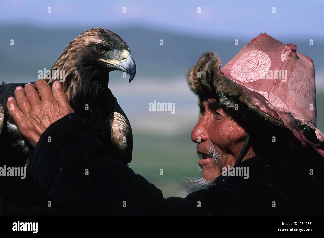 Kazakh Eagle Hunter Golden Eagle Festival Bayan Oelgii