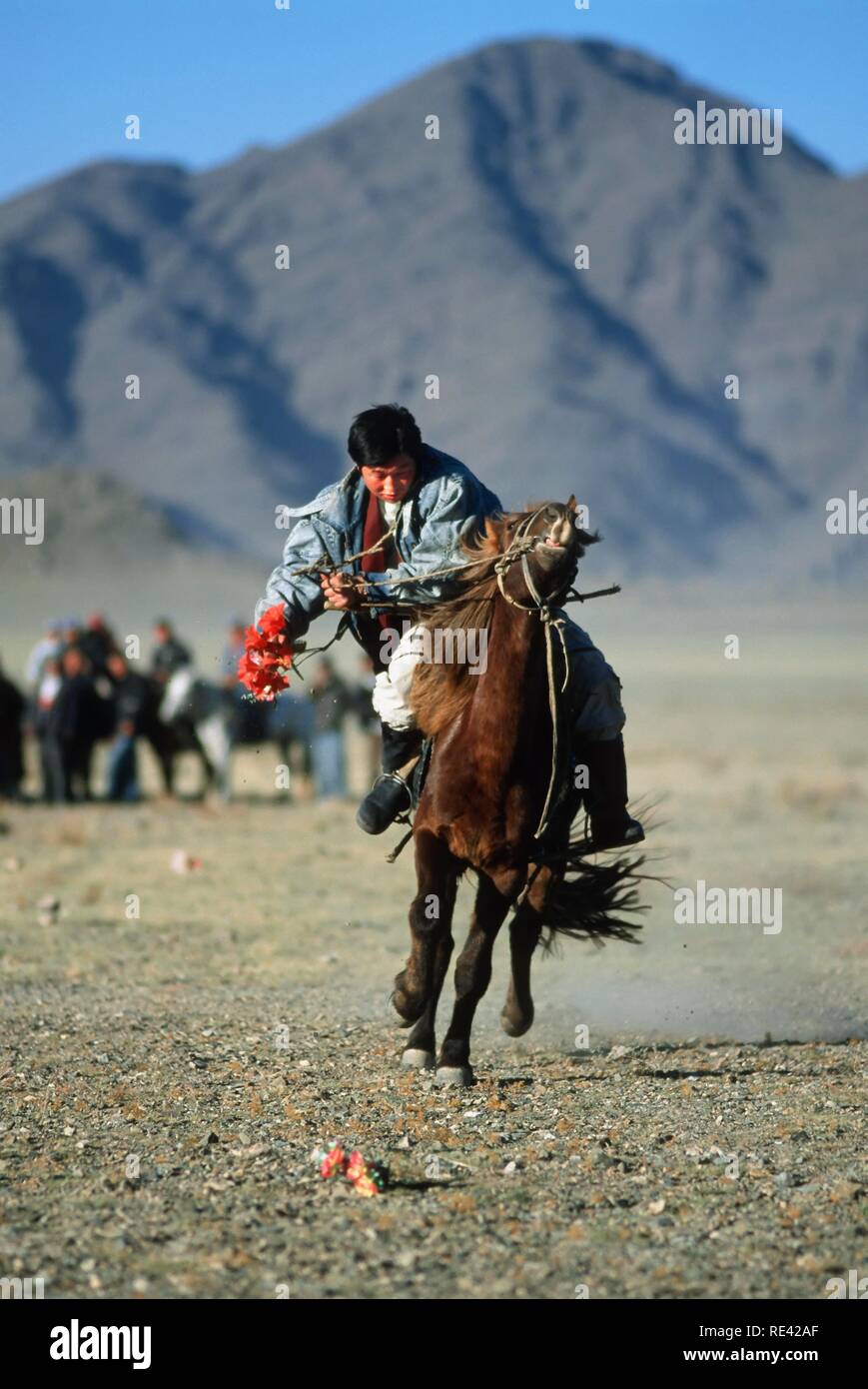 Tenge-il game, horseman catching flowers on the ground while galloping, Golden Eagle Festival, Bayan Oelgii, Altai Mountains Stock Photo