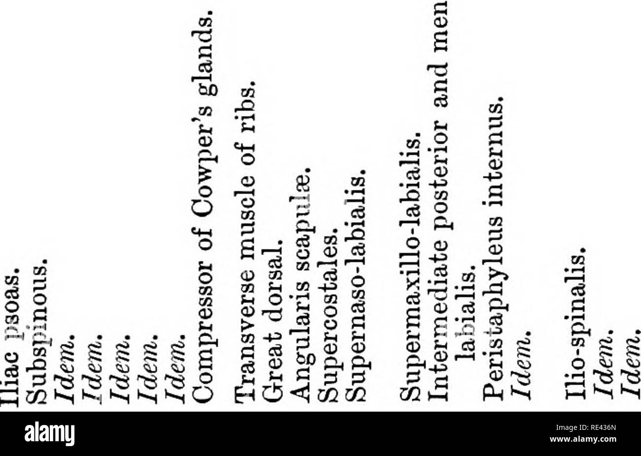 Page 223 P R G S High Resolution Stock Photography And Images Alamy