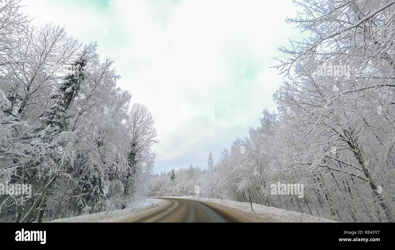 Country road in winter along the forest with white snow trees Stock ...