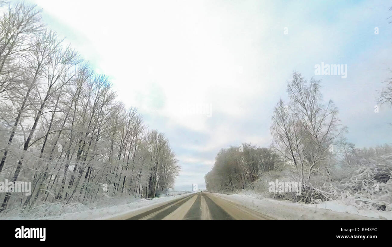 Country road in winter along the forest with white snow trees Stock ...