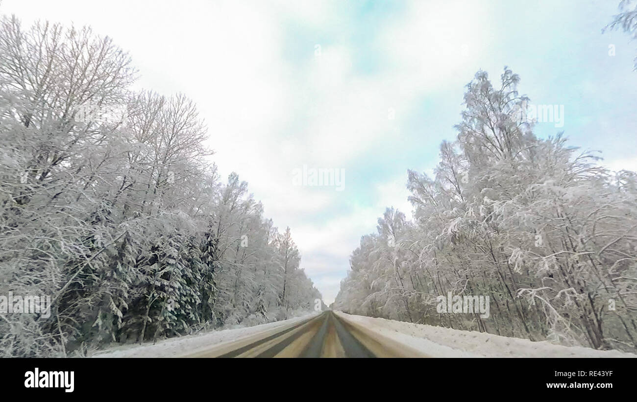 Country road in winter along the forest with white snow trees Stock ...