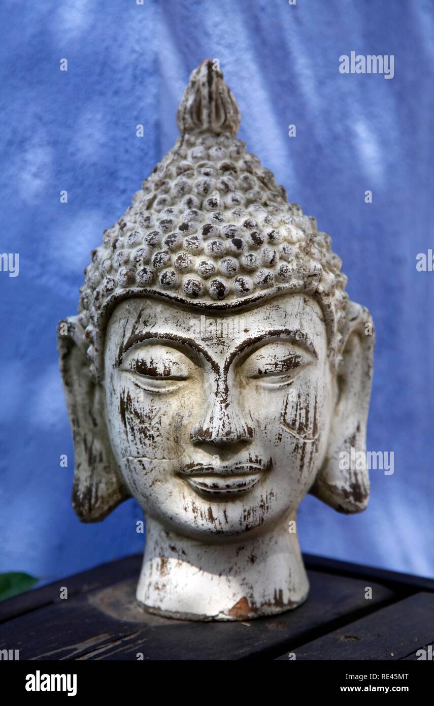Head BUST Plaster 18 12 Black BUDDHA Statue Art Display Sculpture Art