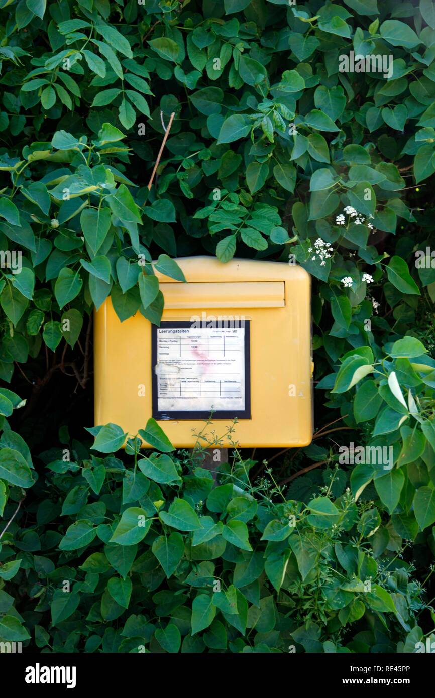 Overgrown mailboxes hires stock photography and images Alamy