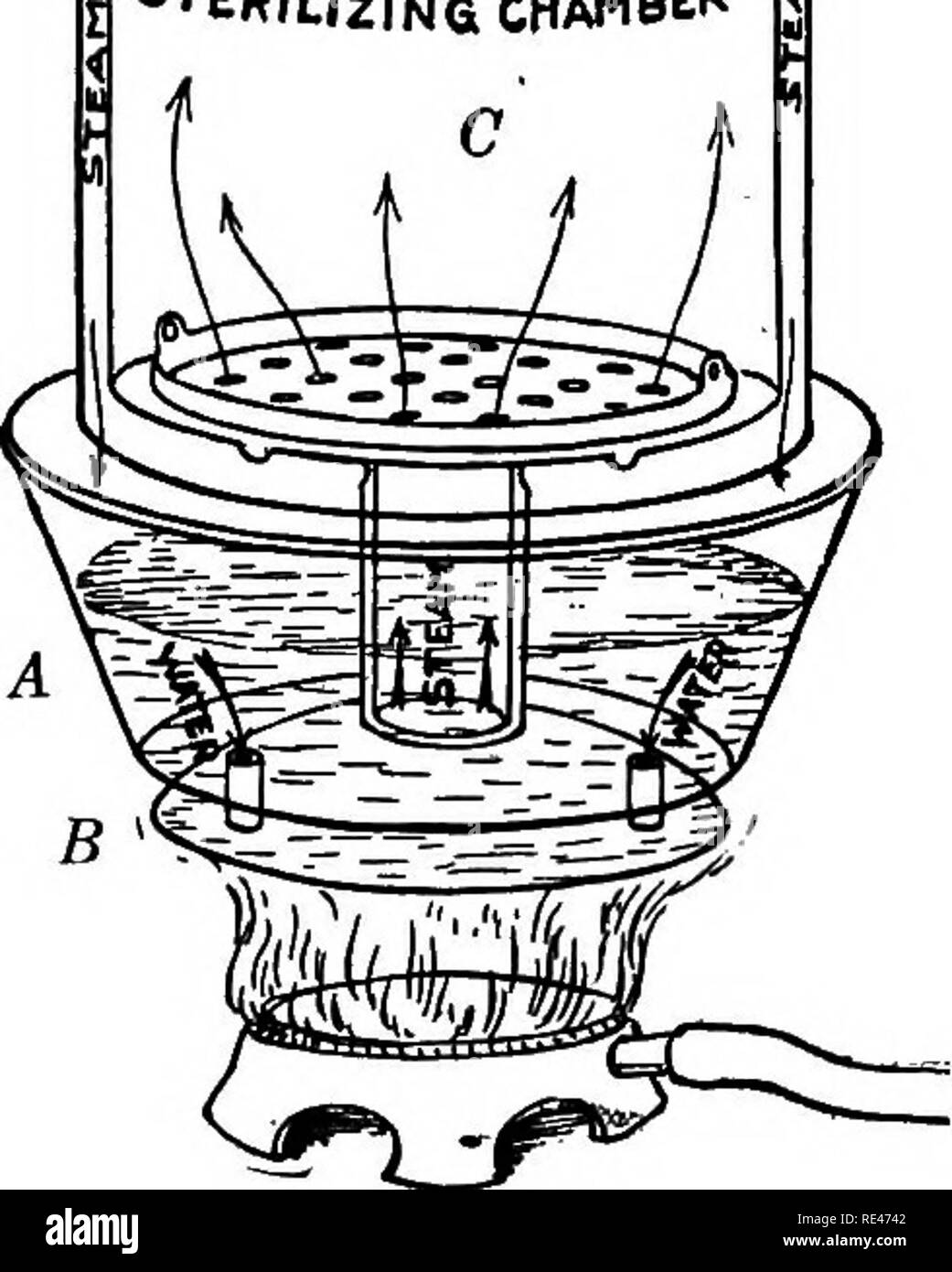 . A text-book of bacteriology; a practical treatise for students and practitioners of medicine. Bacteriology. 70 BIOLOGY AND TECHNIQUE STERILIZING CHAMBER c laboratory purposes, the original steaming device introduced by Koch has been almost completely displaced by devices constructed on the plan of the so-called &quot; Arnold &quot; sterilizer (Fig. 9). In such an appara- tus, water is poured into the reservoir A and flows from there into the shallow receptacle B, formed by the double bottom. The flame underneath rapidly vaporizes the thin layer of water contained in B, and the steam rises ra Stock Photo
