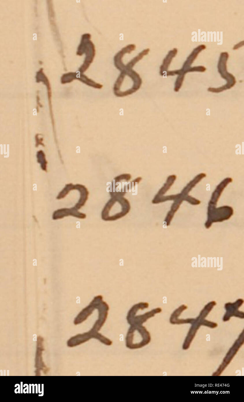 Page 2 Q Xx High Resolution Stock Photography And Images Alamy