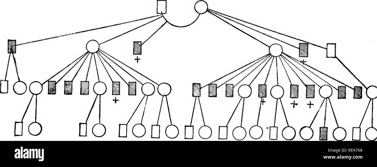Diseases Of Metabolism And Of The Blood Animal Parasites Toxicology Constitutional Diseases Metabolism Blood Medical Parasitology Poisons 416 The Hemorrhagic Diatheses Another Tree Of A Well Marked Bleeder Family Was Described By