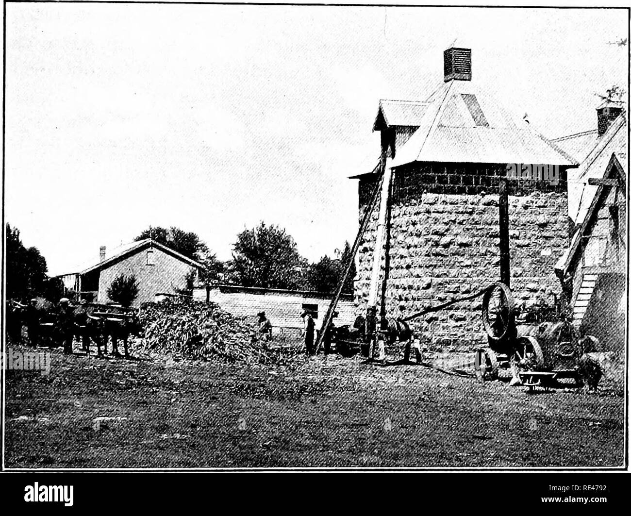 . Maize; its history, cultivation, handling, and uses, with special