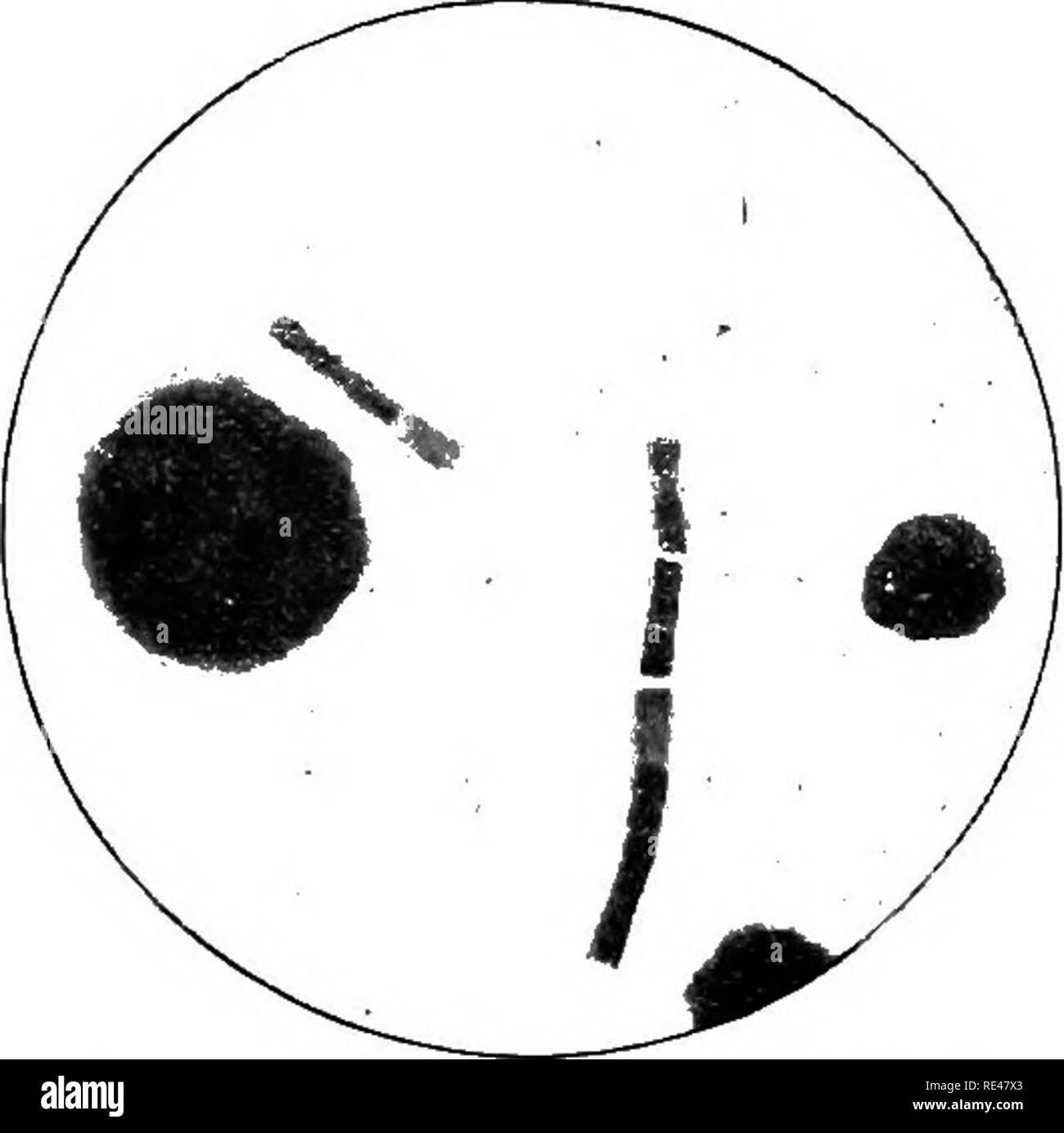 Lens barrel Black and White Stock Photos & Images Alamy