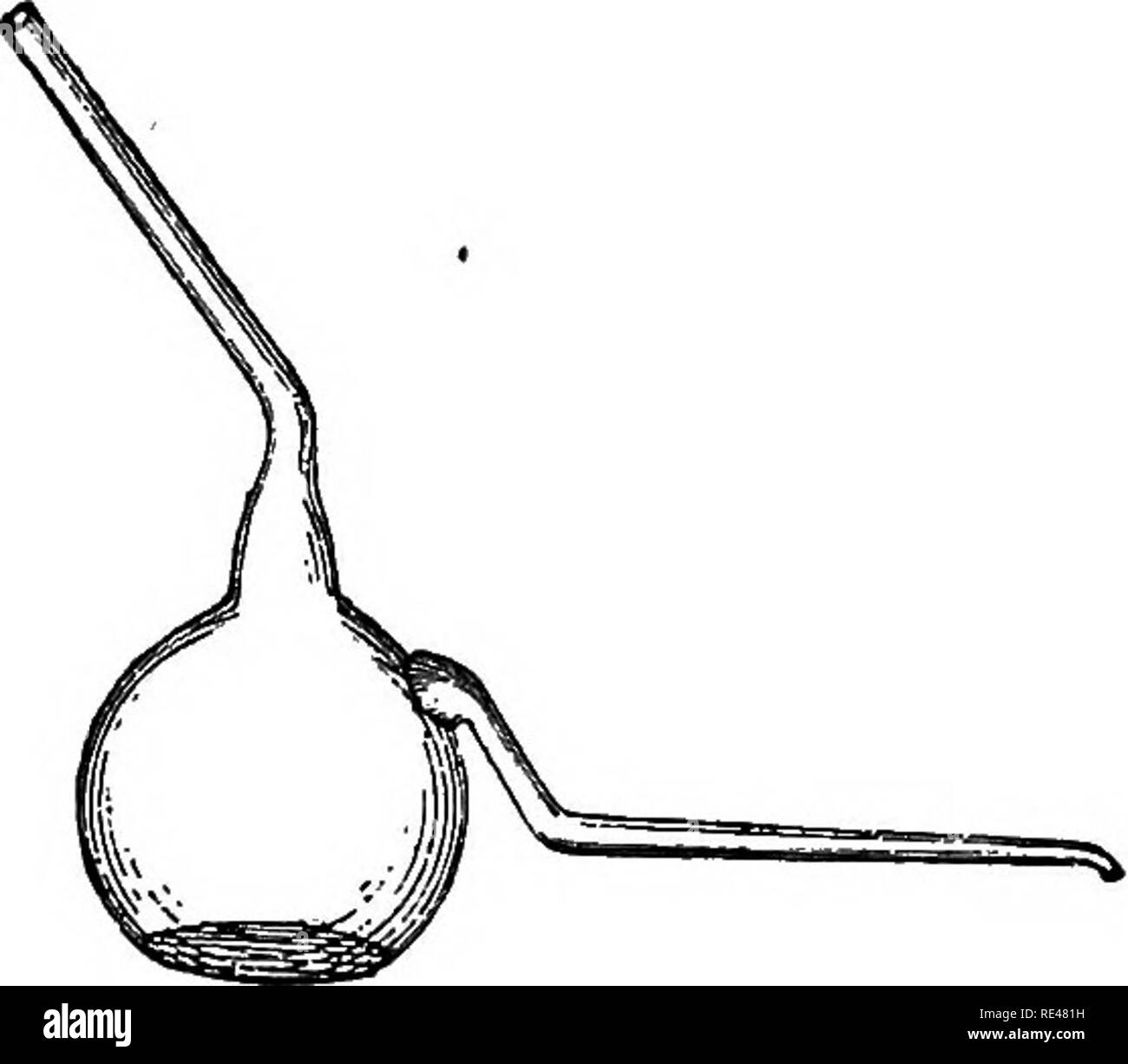 Pea brain Black and White Stock Photos & Images Alamy