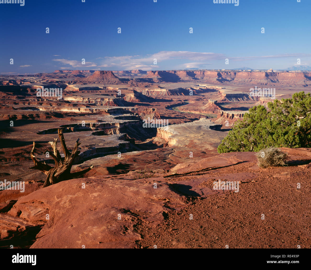 USA, Utah, Canyonlands National Park, View from Green River Overlook with twisted, steep-walled canyon about 2000 ft. below, Island in the Sky Distric Stock Photo