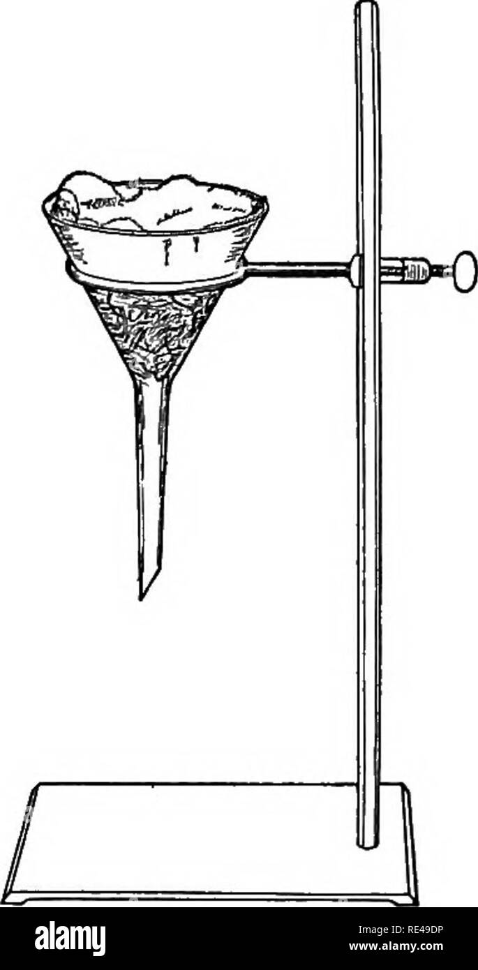 . A manual of bacteriology for agricultural and general science students. Bacteriology. THE NUTRITION OF BACTEEIA 2. Dissolve these ingredients by boiliag them over a gas flame with constant stirring. A better method, and one that obviates the danger of burniag the material, is to cook it in the autoclave at 10 lb. steam pressure (see Exercise 12). After cooking for twenty minutes add 50 cc. distilled water to replace that lost by evaporation. 3. Filter immediately through a thin layer of wet absorbent cotton in a funnel. Place the filtered medium in a funnel with delivery tube and pinchcock,  Stock Photo