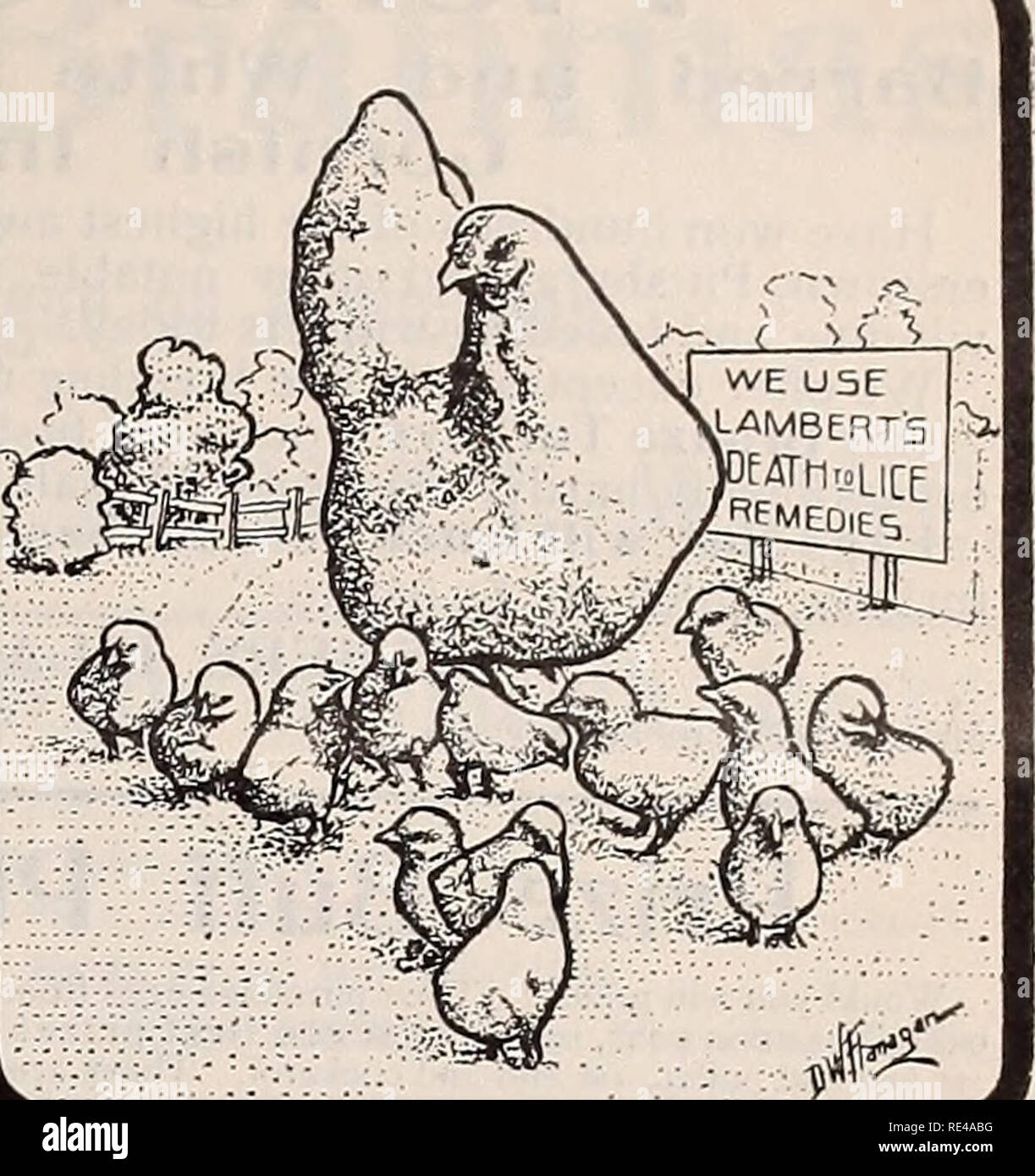 . The Eastern poultryman. Poultry Periodicals; Fruit Periodicals. A GOOD HATCH of stron;; healthy chickens is not the result of luck or chance. The best hatches are secured by those who use LAMBERT'S DEATH TO LICE on their breeders to preserve their health and vigor, and on their sitters to keep them clean and com- fortable. It injures nothing but vermin. Trial size, enough for ten applications, loc postpaid. A 48 o7,., 50c, or a 100 oz., -Si, from here or nearest agency by express. Book free. D. J. LAMBERT. BOX 345. APRON AUG. R. I.. COCHINS. BUFF COCHINS. Spancrler Bros, will sell eggs from  Stock Photo