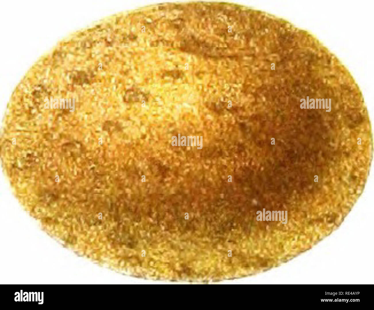 Page 5 4k Images High Resolution Stock Photography And Images Alamy