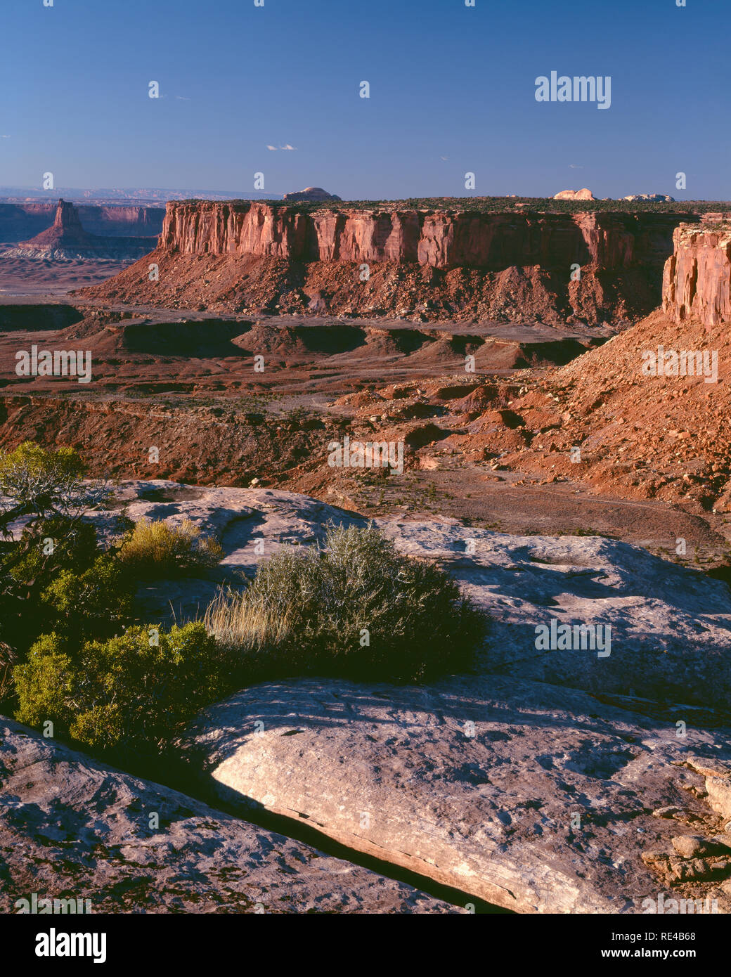 USA, Utah, Canyonlands National Park, View northwest towards Murphy Basin and distant Candlestick Tower, from Grand View Point, Island in the Sky Dist Stock Photo