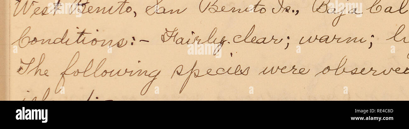 O Oy N A High Resolution Stock Photography And Images Alamy